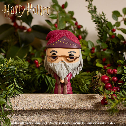Pop! Albus Dumbledore - US 2896